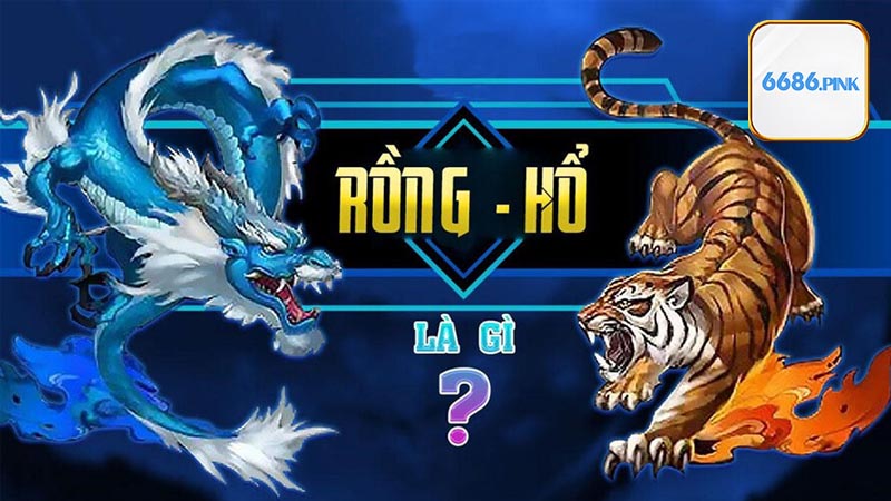 Tổng quan Rồng Hổ là gì?