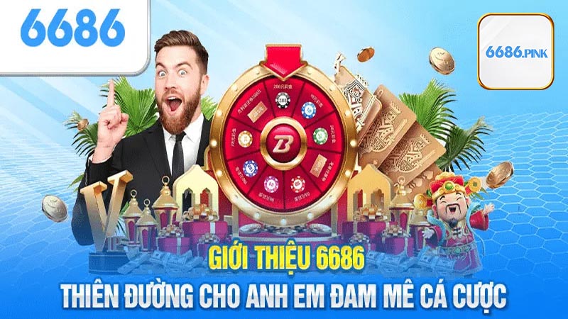 Điều làm nên sức hút của của 6686 là gì?